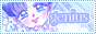 Genius, a shrine to Sailor Mercury